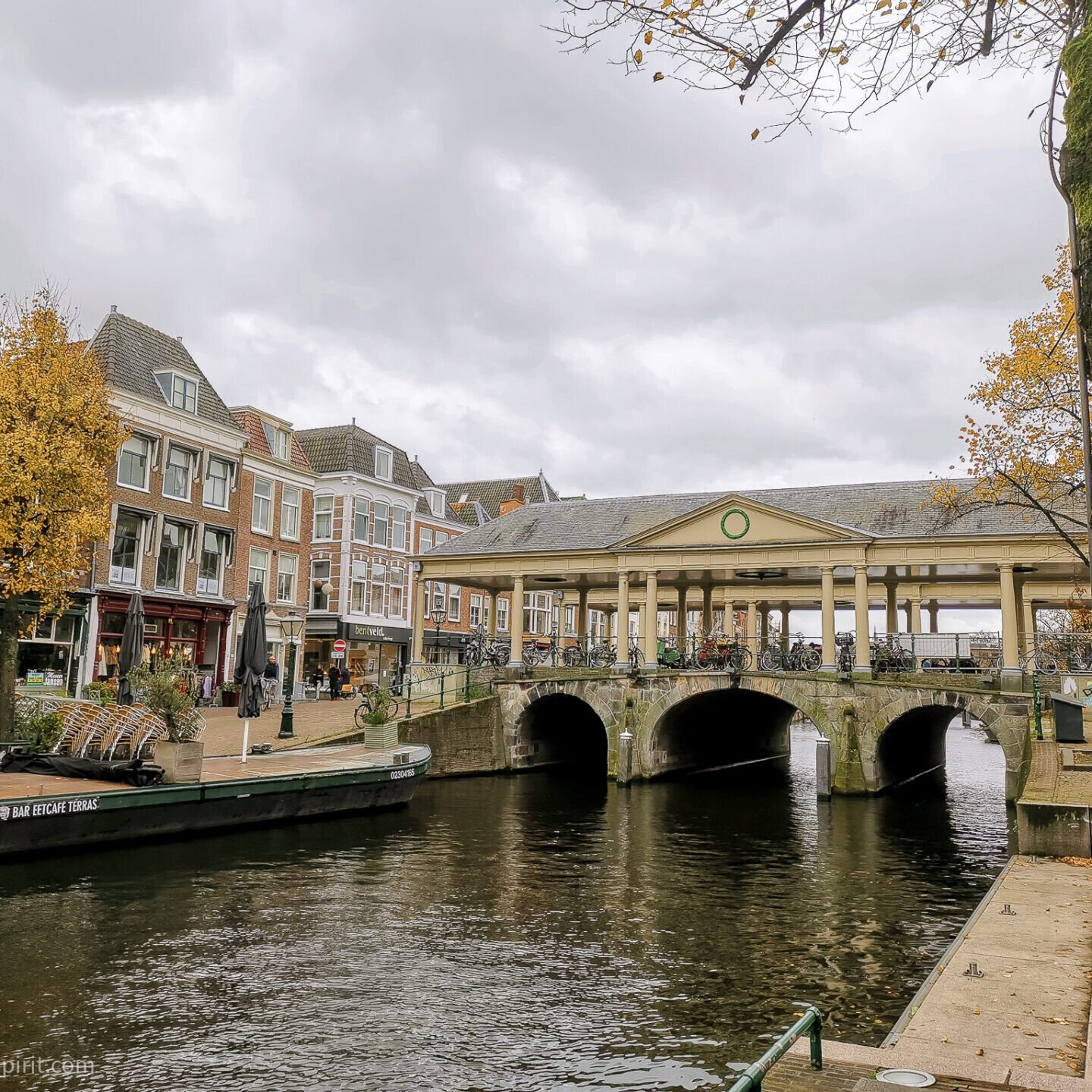 Autumn in Leiden