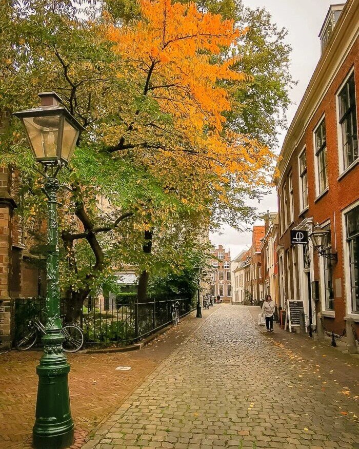 Leiden, Autumn, old street